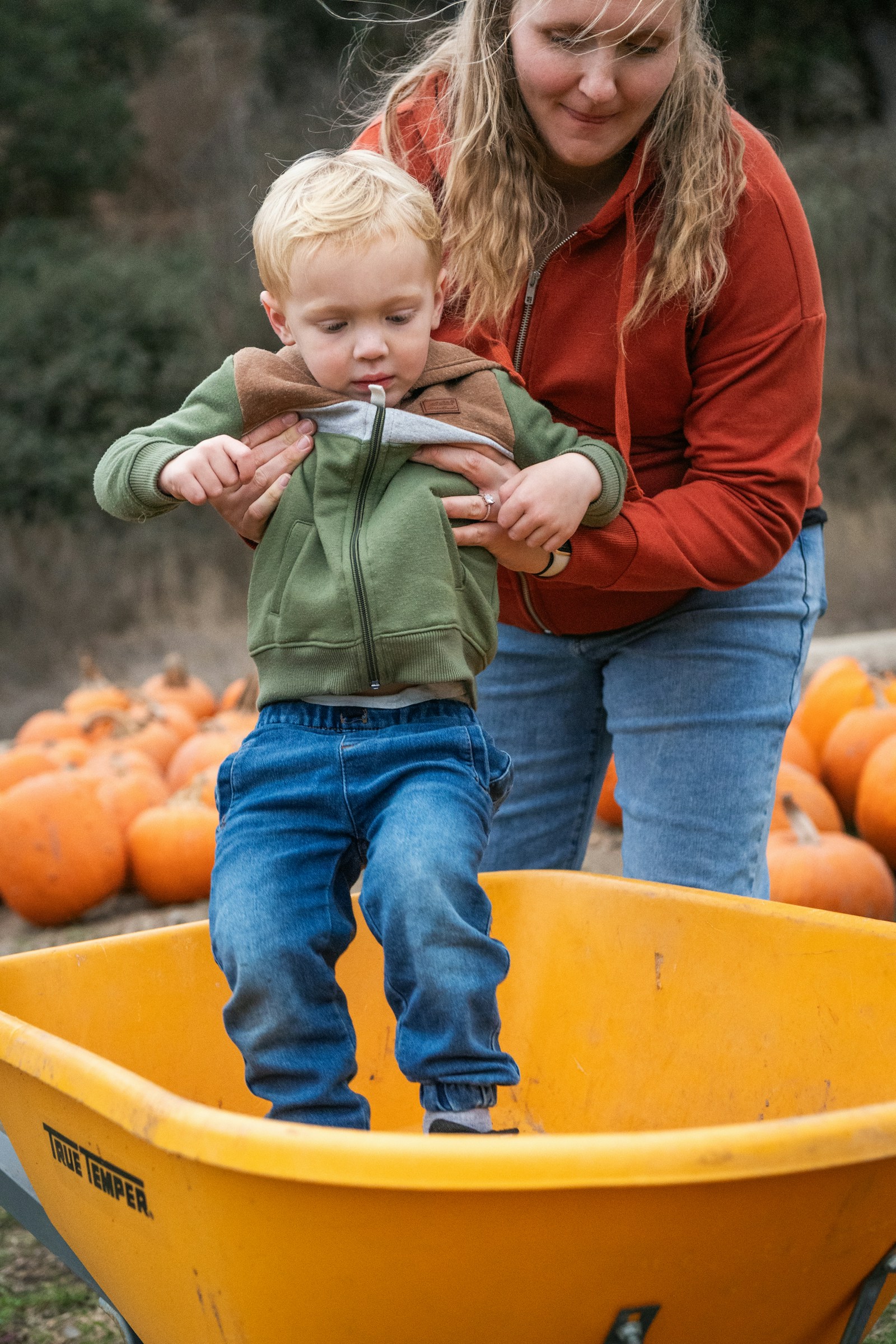 A parent helps a young child climb into a wheelbarrow at a pumpkin patch