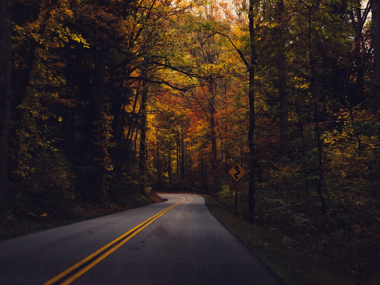 An autumn road through the Great Smoky Mountains