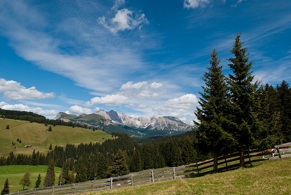 Sunny alpine meadows, evergreen trees and Dolomite peaks viewed from Alpe di Siusi, Italy