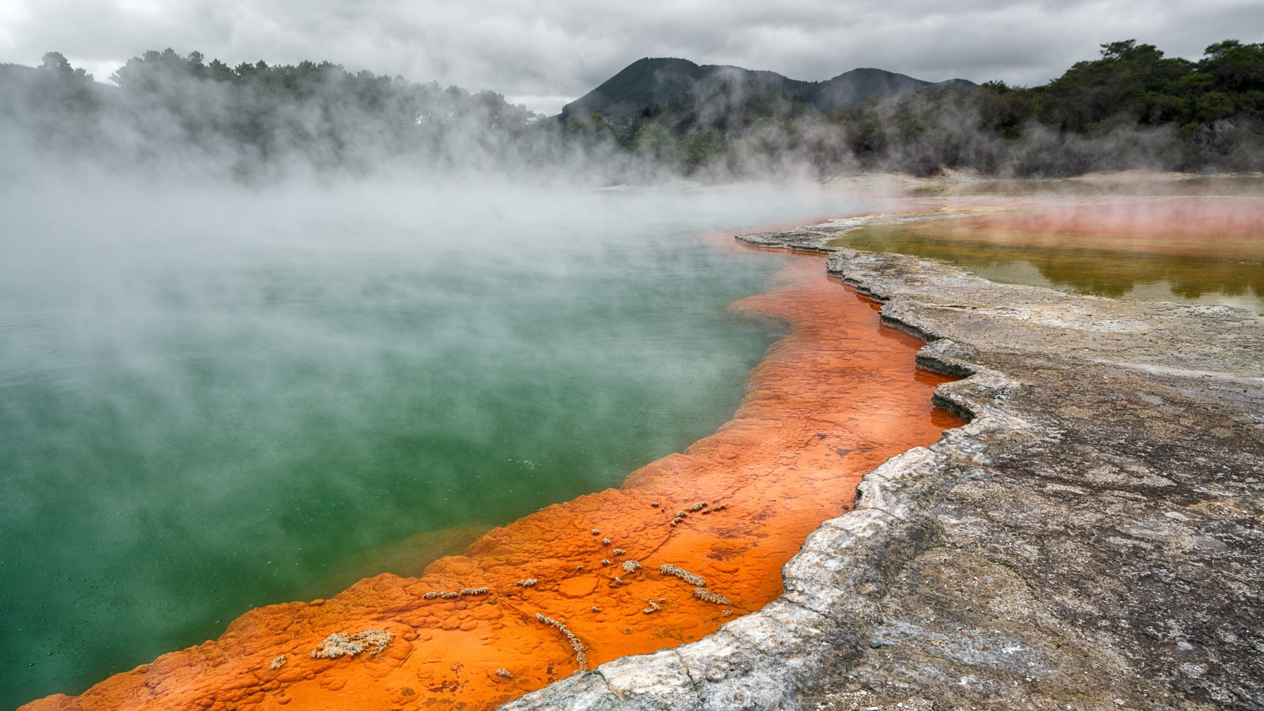 Orange mineral terraces and steaming green water at Champagne Pool, Wai-O-Tapu, New Zealand