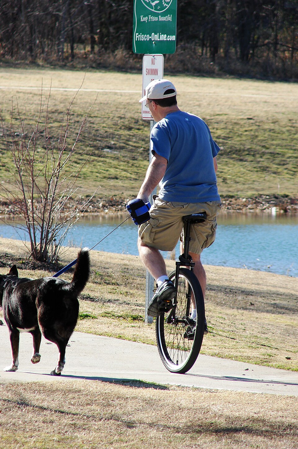 A man riding a unicycle beside a dog on a sunny park path