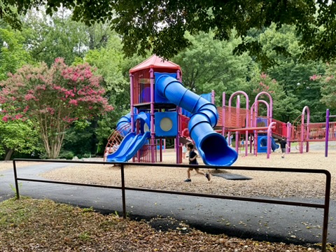 Blue slides and pink climbing equipment beneath leafy trees at Chestnut Hills Park in Arlington, Virginia