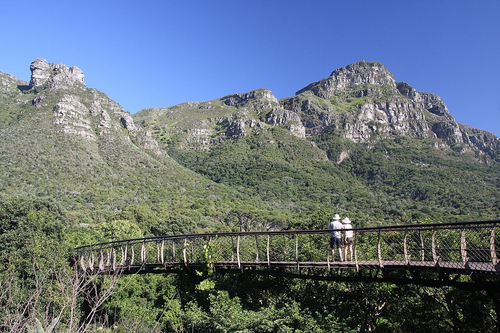 The treetop walkway at Kirstenbosch with mountains beyond