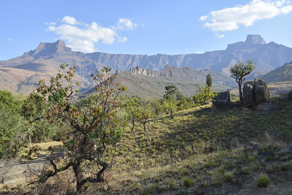 The Amphitheatre landscape at Royal Natal
