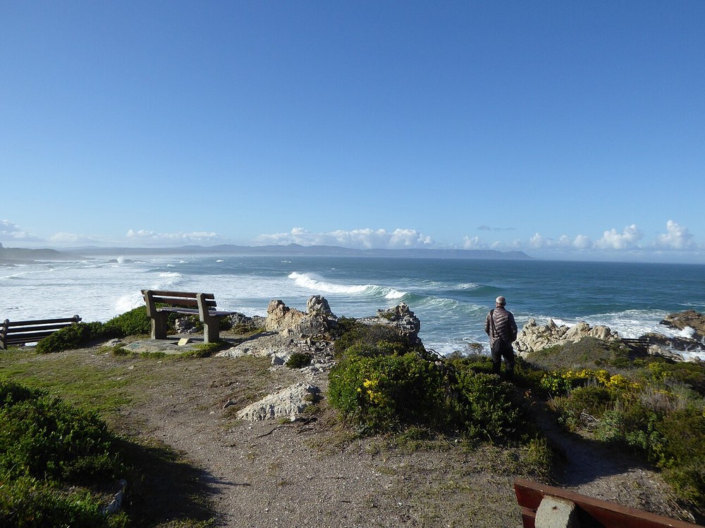 Hermanus coastal path; representative setting, not the Windsor Hotel