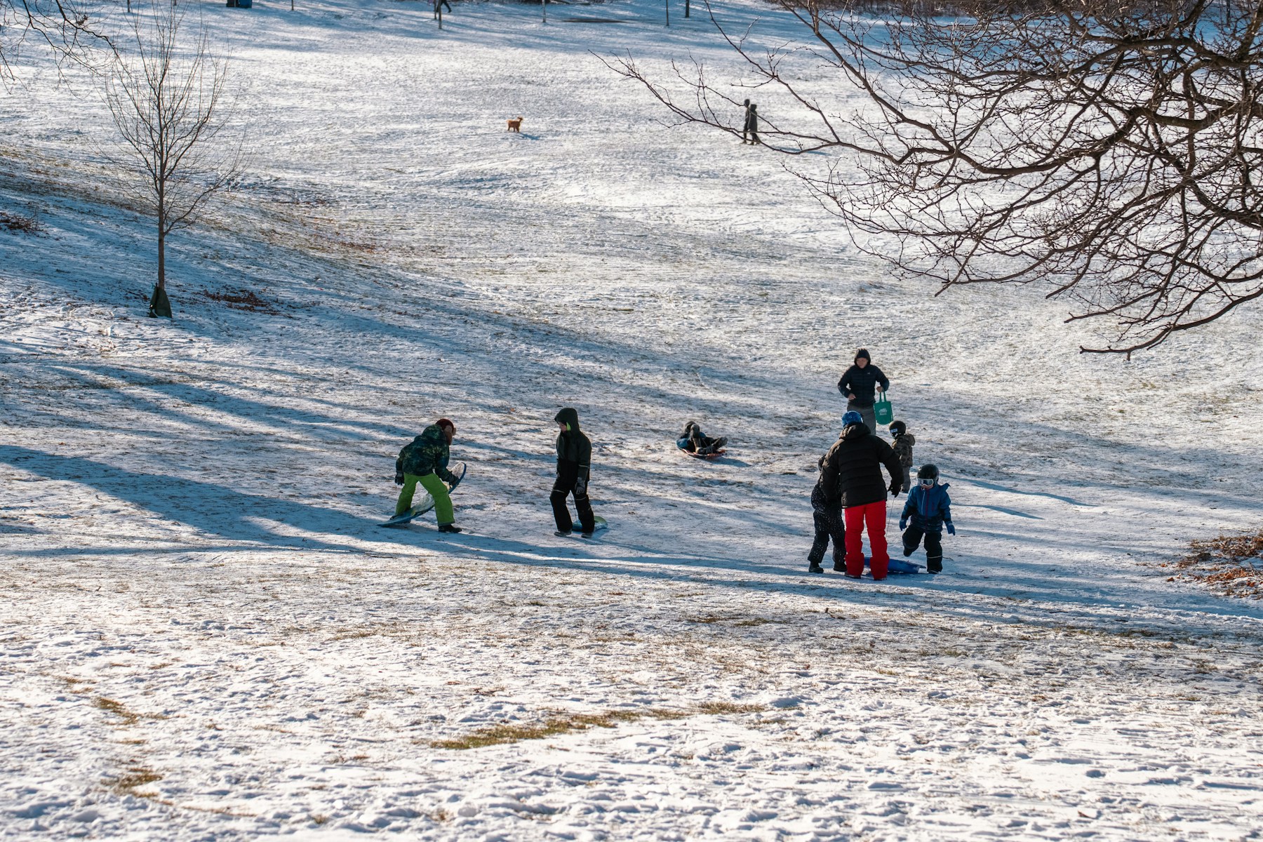 Families and children sledding together on a sunny snow-covered hill